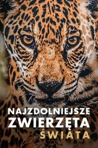Najzdolniejsze zwierzęta świata